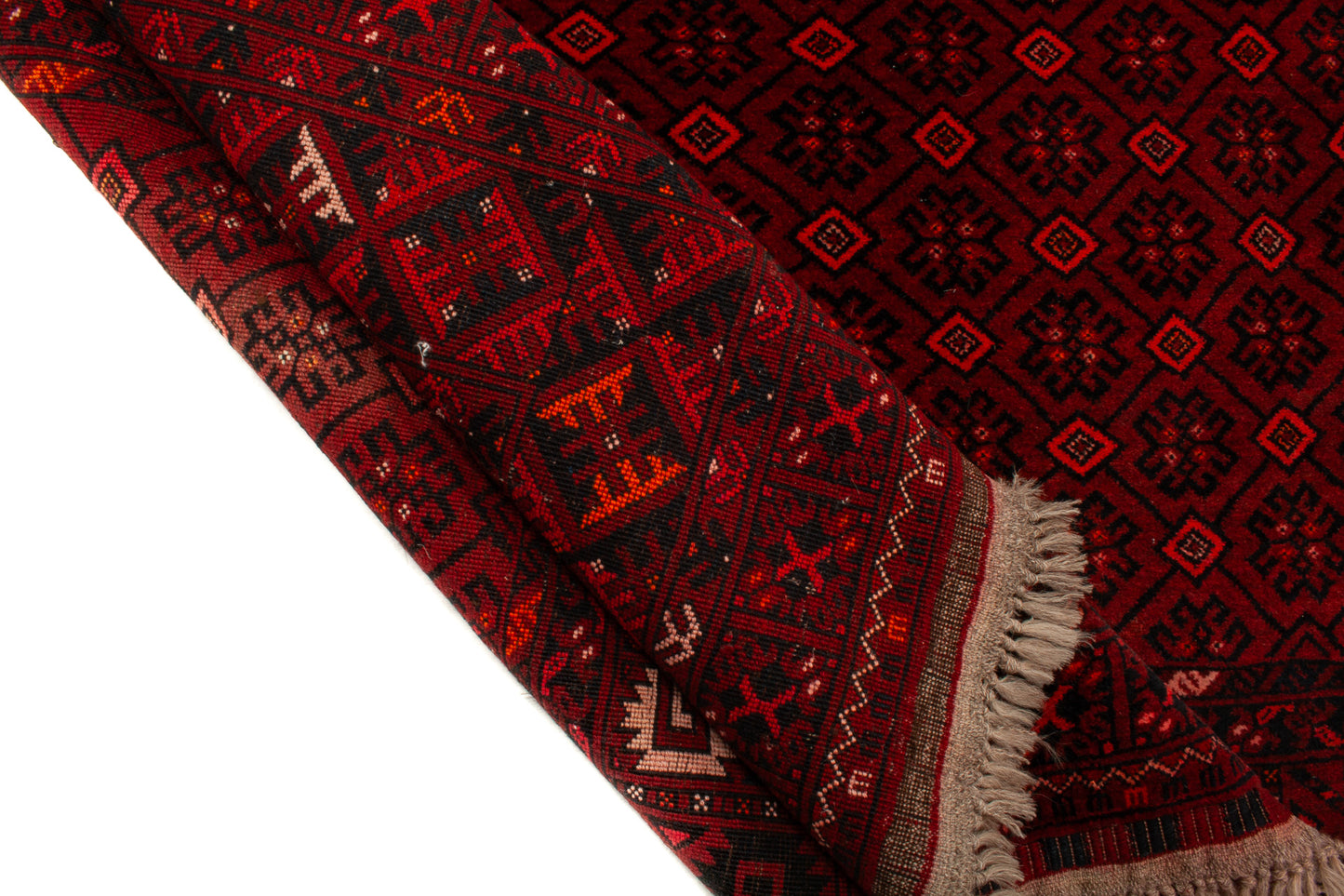 Afghan Turkman