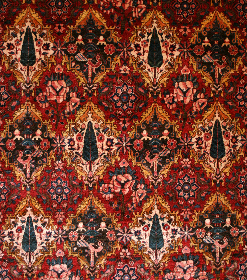 Semi-Antique Persian Bakhtiari Rug