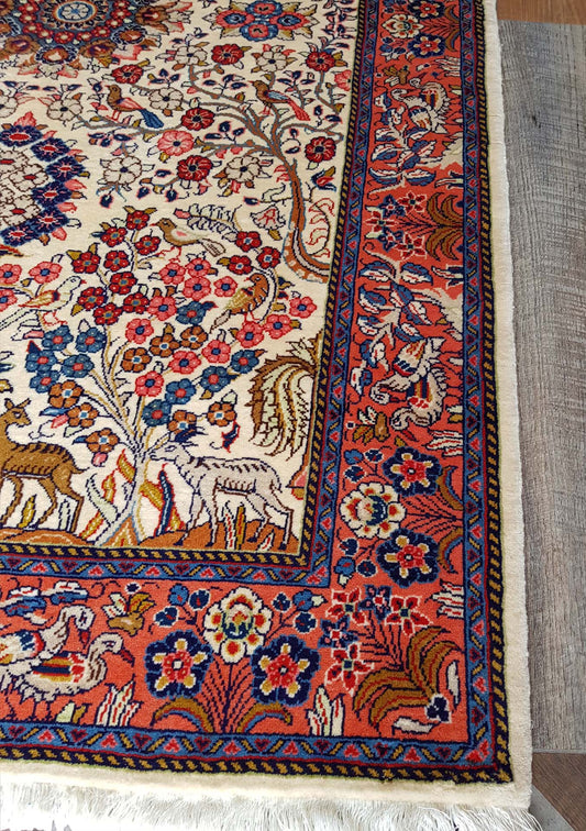 Animal Motifs in Rugs: From Rams' Horns to Birds & More