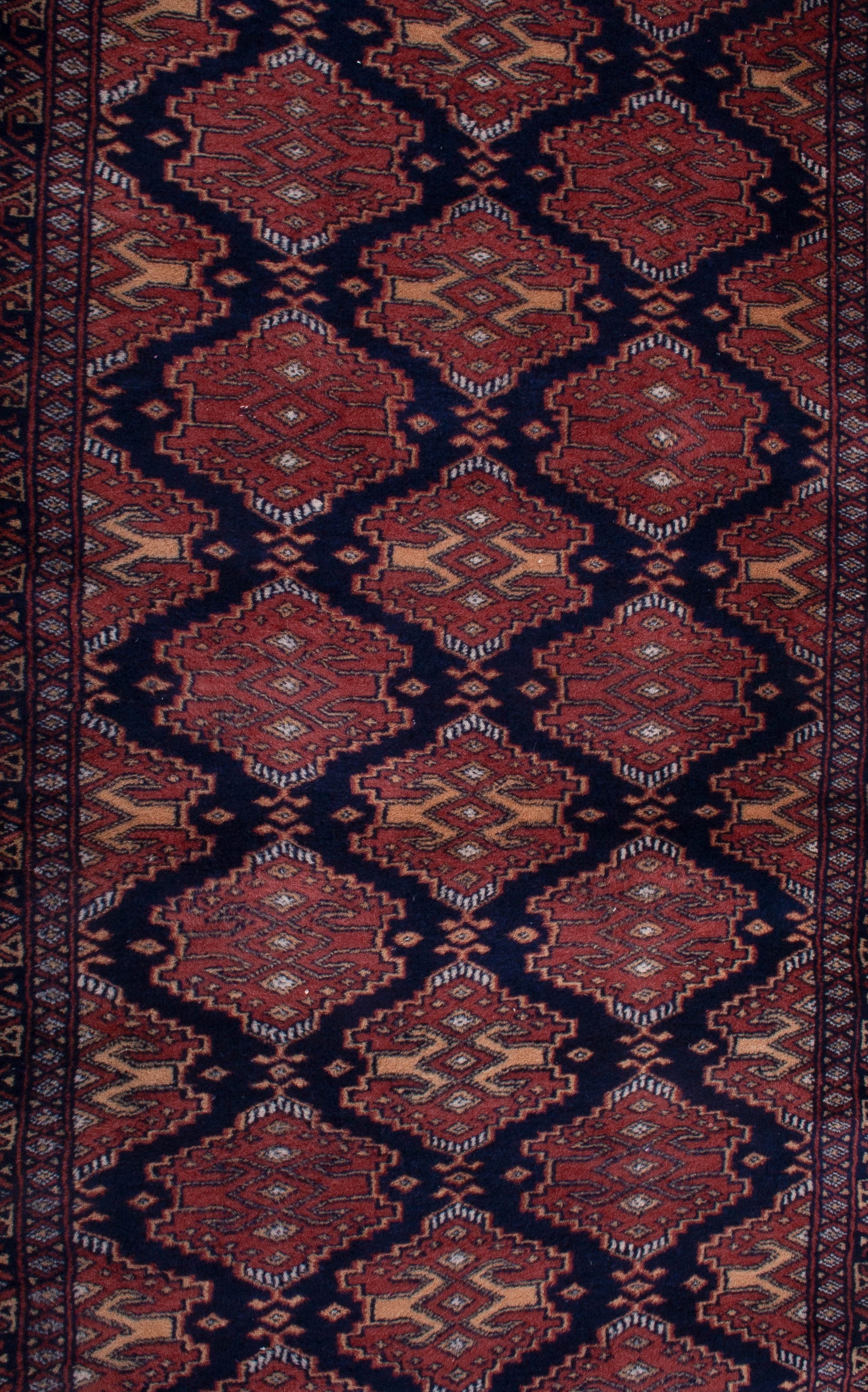 Pak-Persian Mori Runner