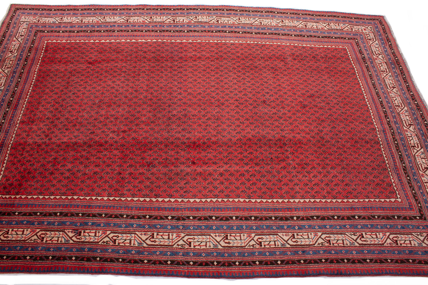 Persian Seraband Mir Rug