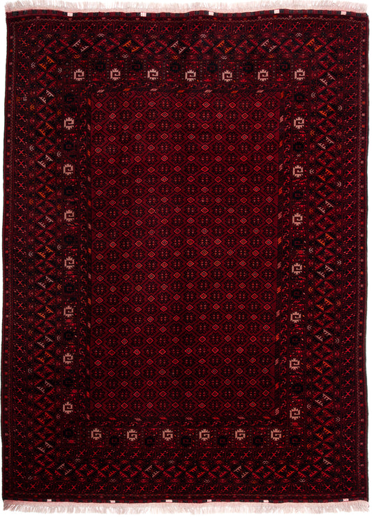 Afghan Turkman