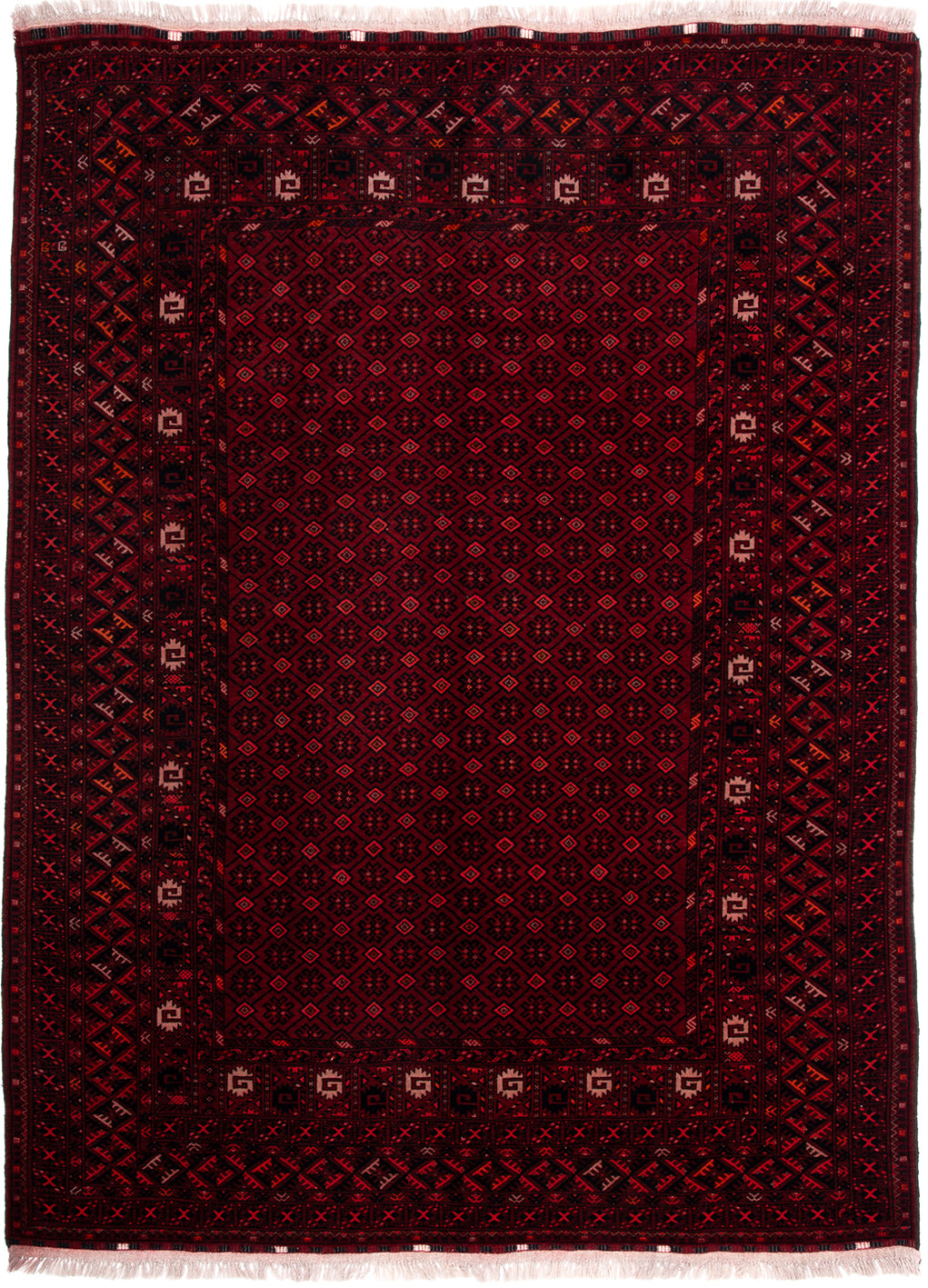 Afghan Turkman