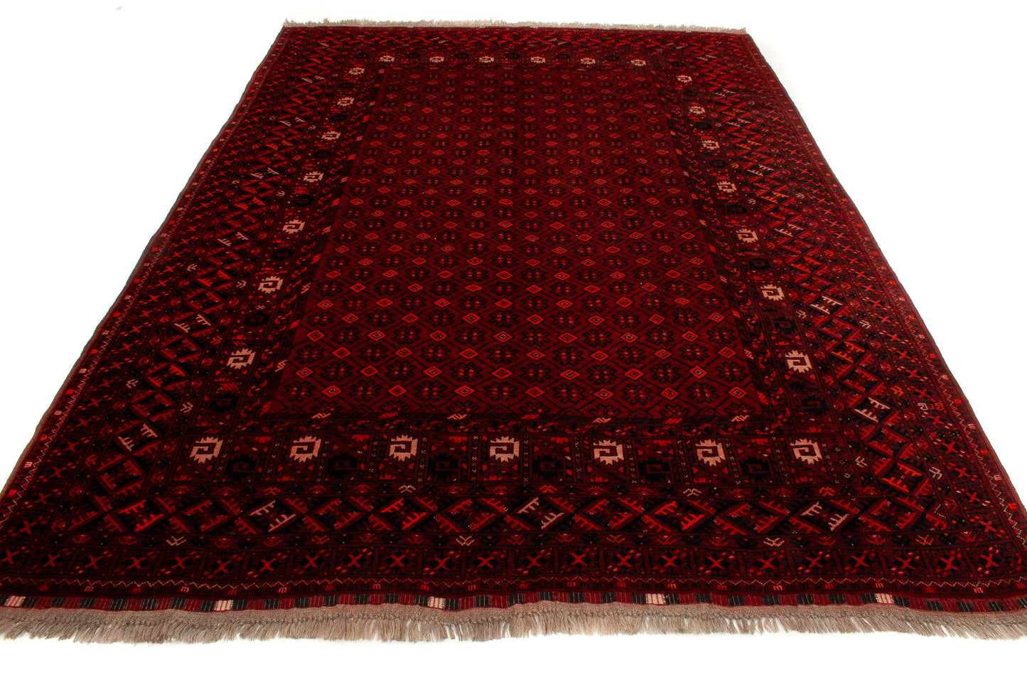 Afghan Turkman