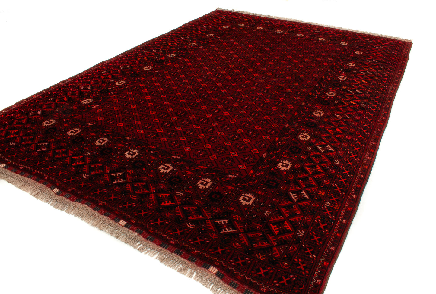 Afghan Turkman