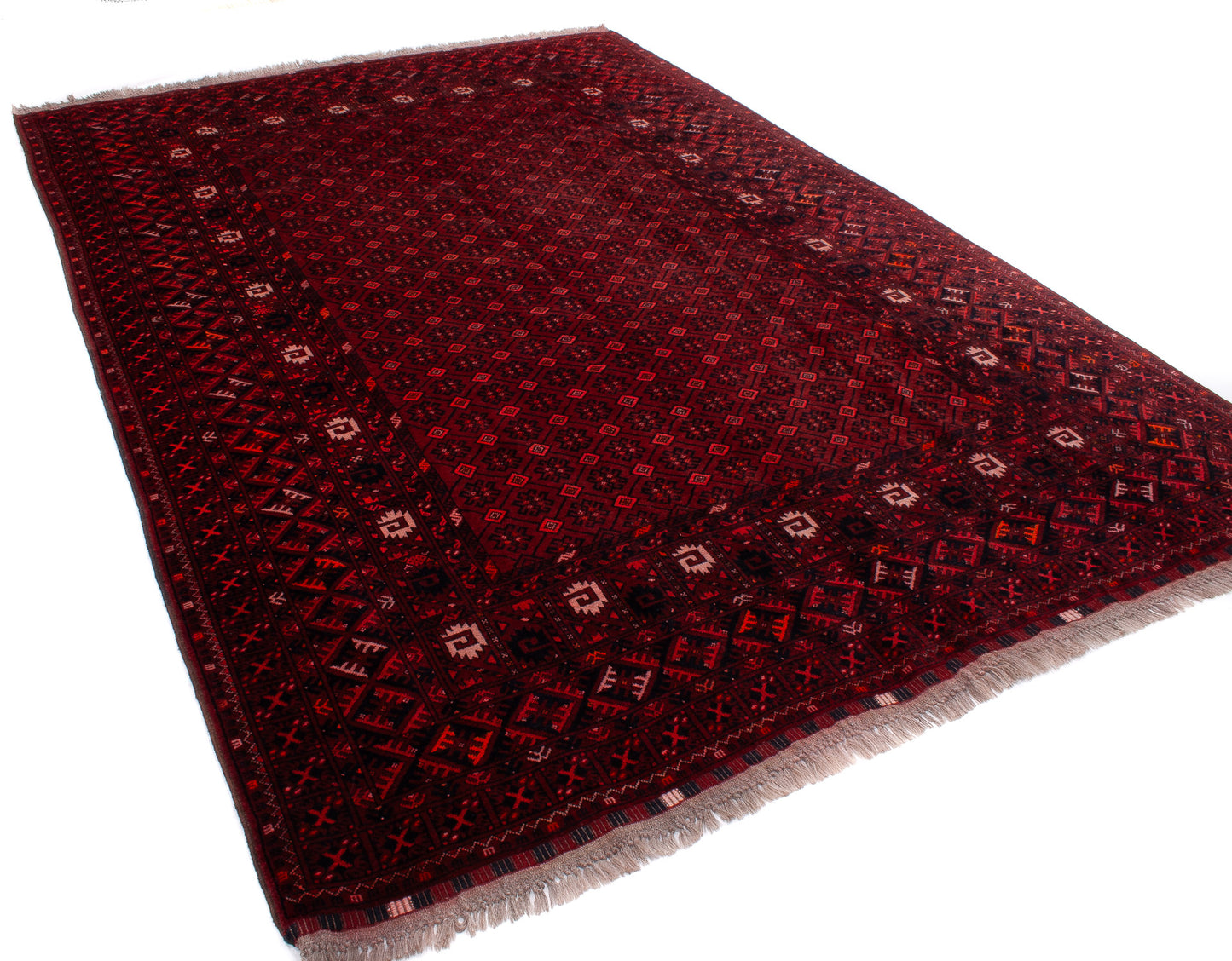 Afghan Turkman