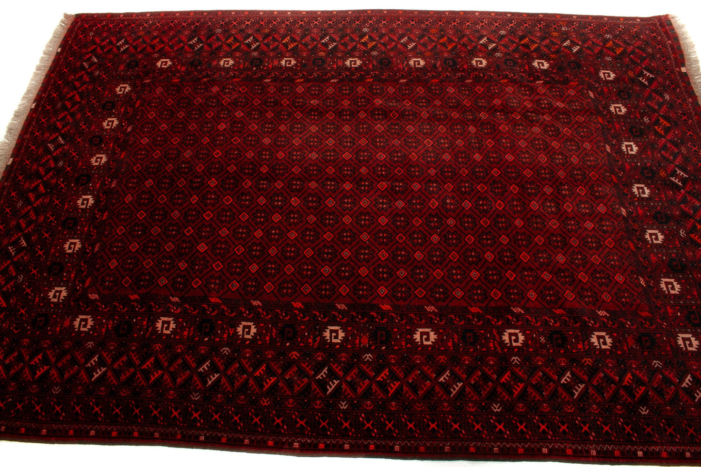 Afghan Turkman