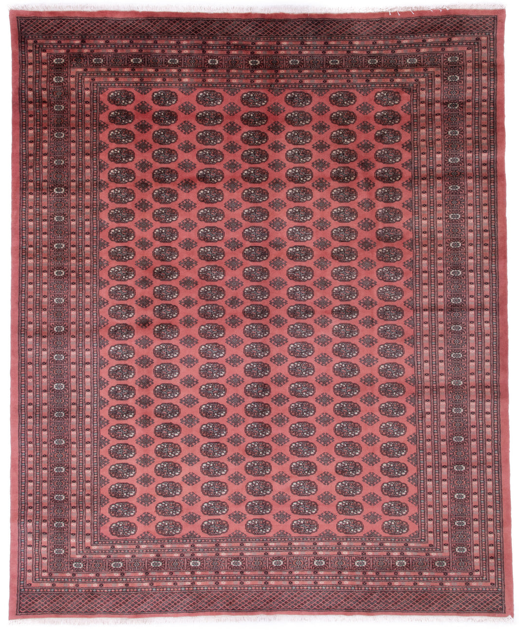 Bokhara Rug History & Origin Guide LittlePersia